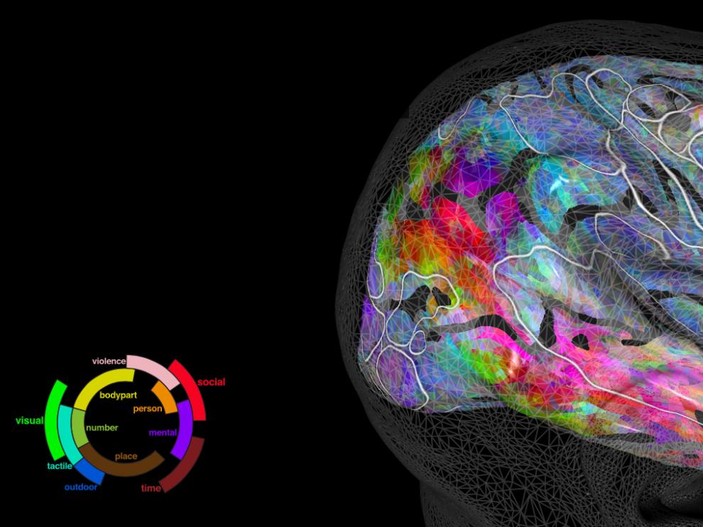 PrAGMATiC predice cómo va a reaccionar el cerebro de una persona al escuchar una palabra determinada.
