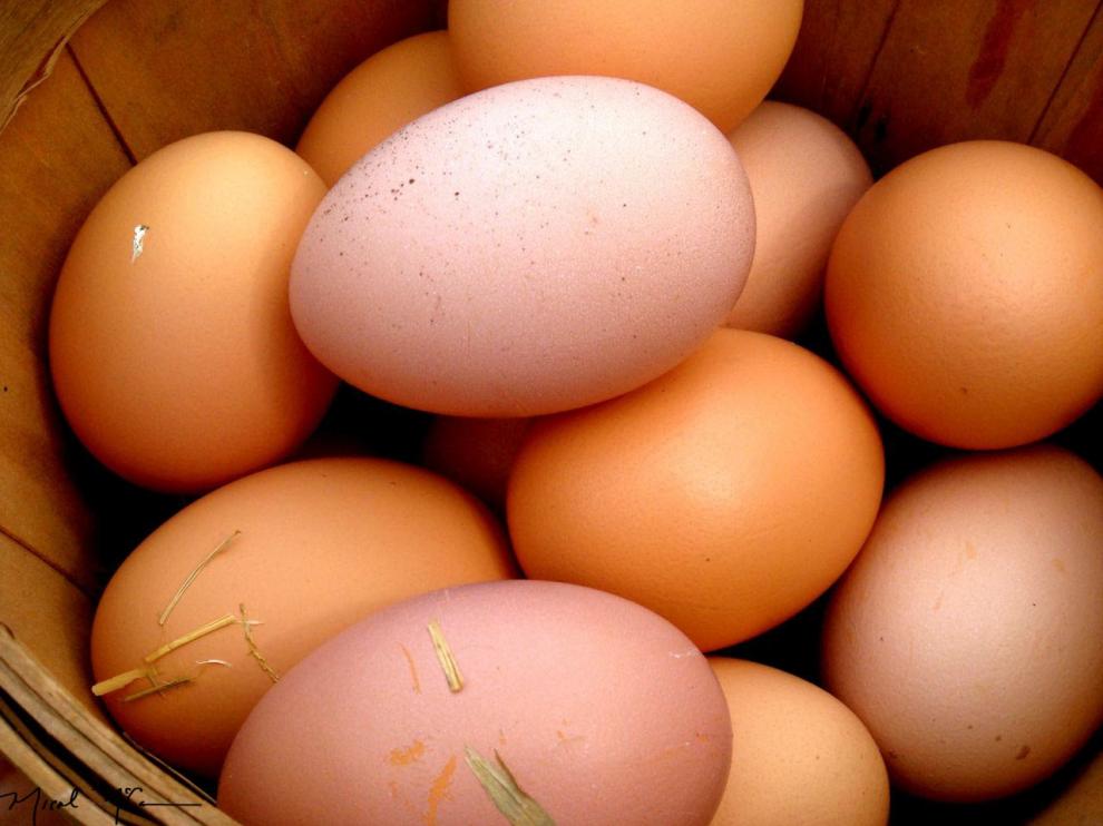 Los huevos morenos son los más habituales en las tiendas de alimentación.