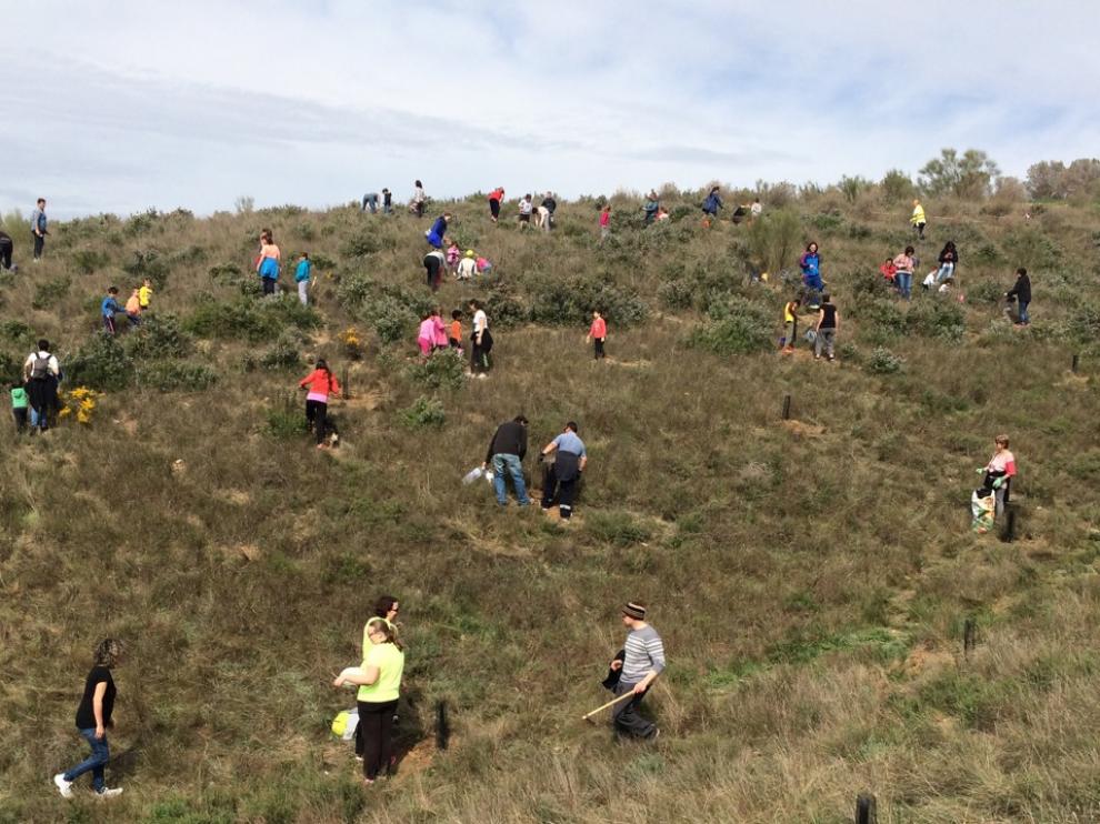Los voluntarios trabajan cerca de la ermita.