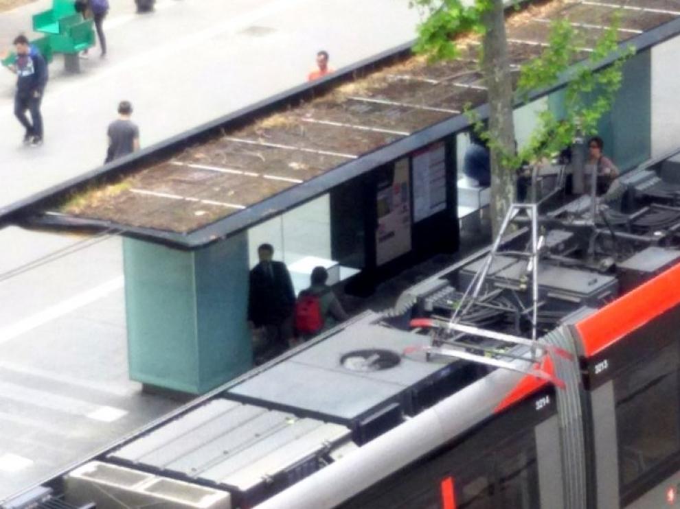 Una avería en el tranvía interrumpe el servicio entre Romareda y la Avenida de la Academia