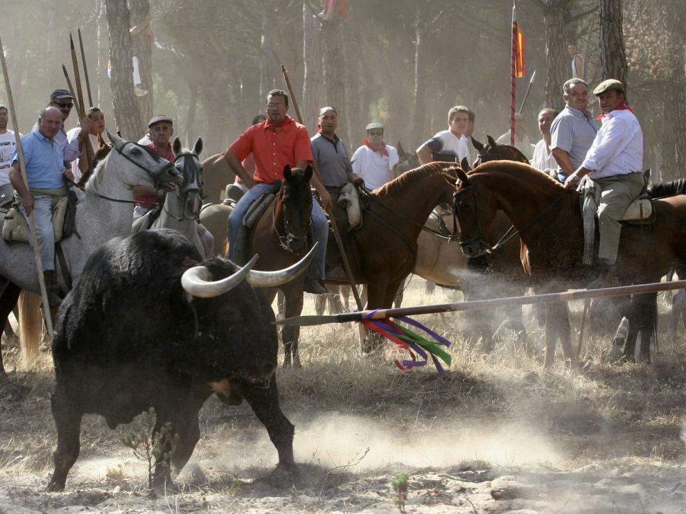 Toro de la Vega.