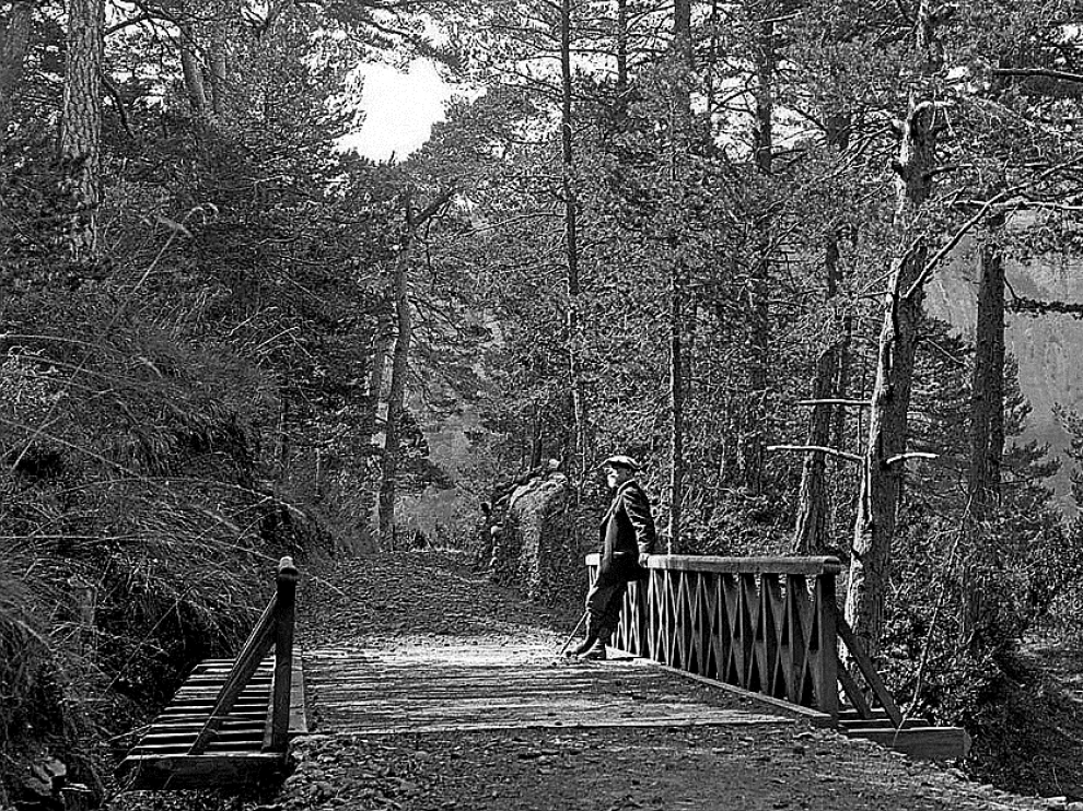 Camino forestal junto al monasterio de San Juan de la Peña (septiembre de 1913).