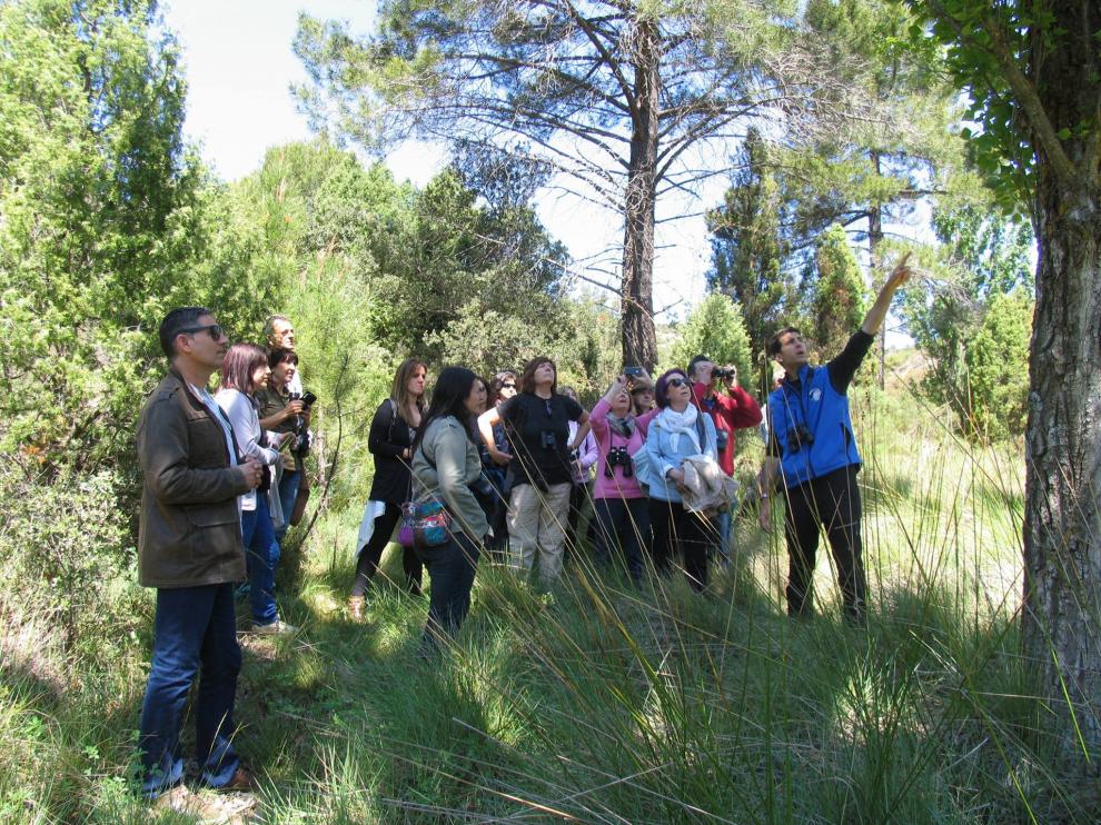 Un especialista en ornitología explica conceptos sobre el terreno.