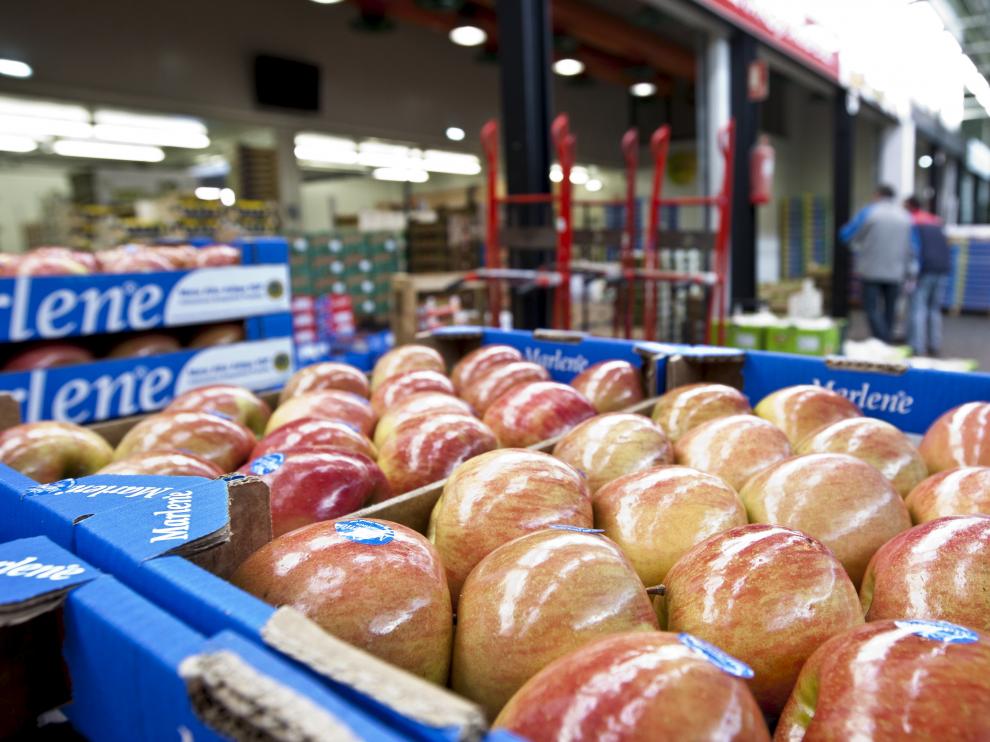 Cajas de manzanas preparadas para su distribución en Mercazaragoza.