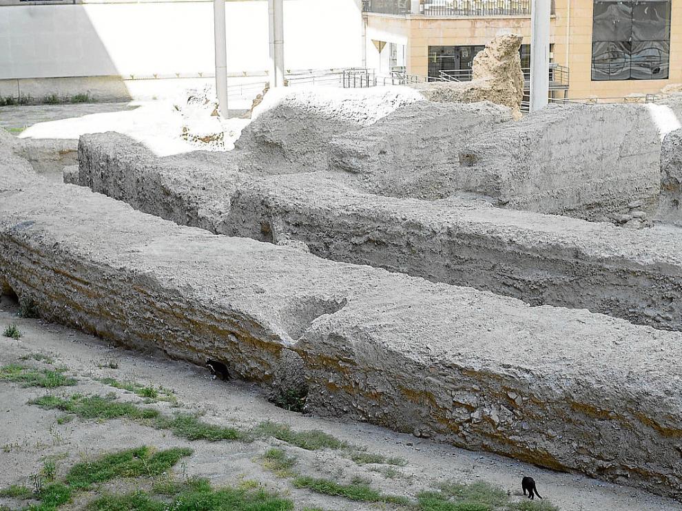 Los gatos campan a sus anchas en los restos del Teatro Romano de Zaragoza.