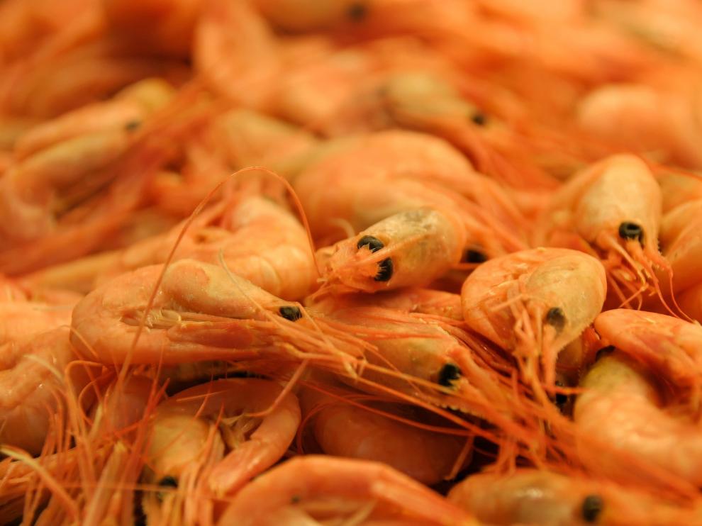 Los langostinos de calidad admiten numerosas preparaciones, ya sean en ceviche, a la plancha o con pasta.