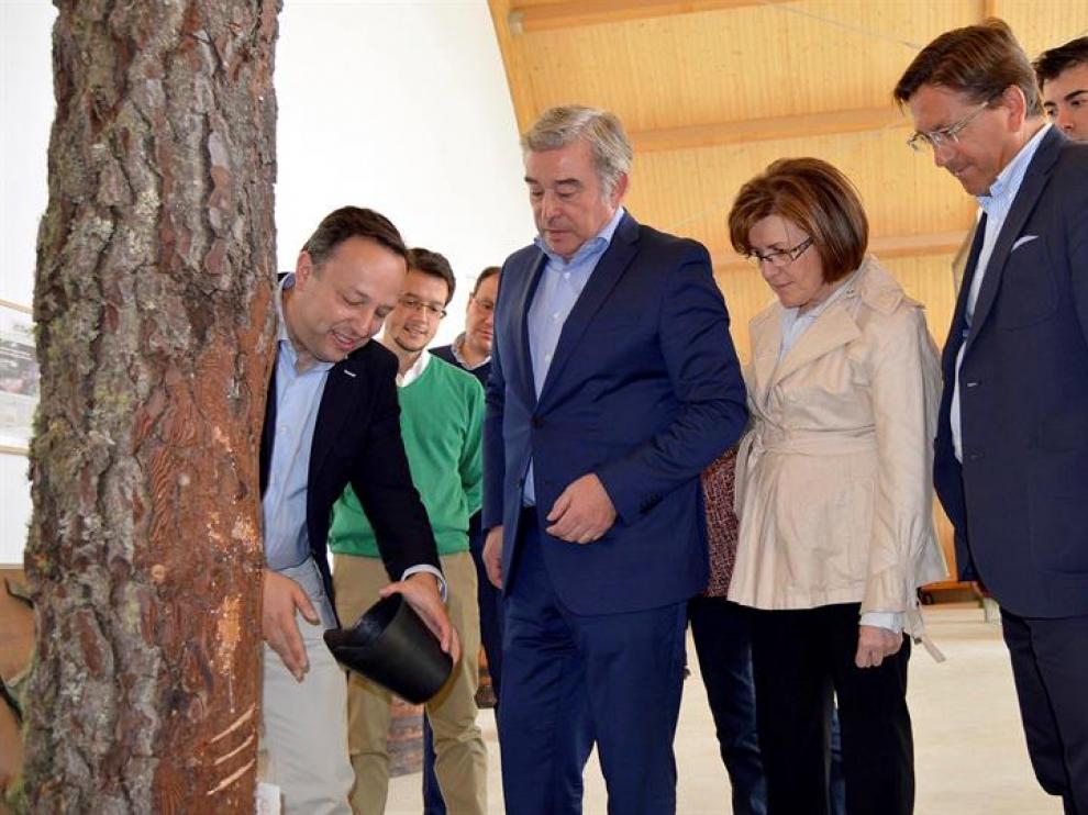 El portavoz del Partido Popular en el Senado, Jose Manuel Barreiro (2i) escucha las explicaciones junto a la presidenta del PP de Soria, Marimar Angulo (2d) durante su visita a las instalaciones de la empresa Resinas Naturales