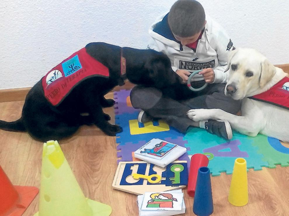 Indi (a la izquierda) y Bady (a la derecha) durante una terapia con un menor