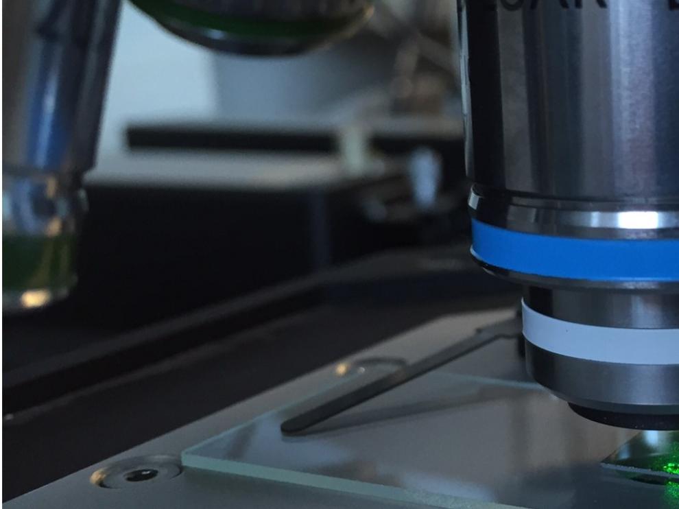Una muestra de grafeno en el microscopio, material que protagonizará la primera charla del ciclo de conferencias