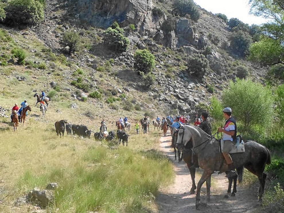 Aranda de Moncayo revive la trashumancia