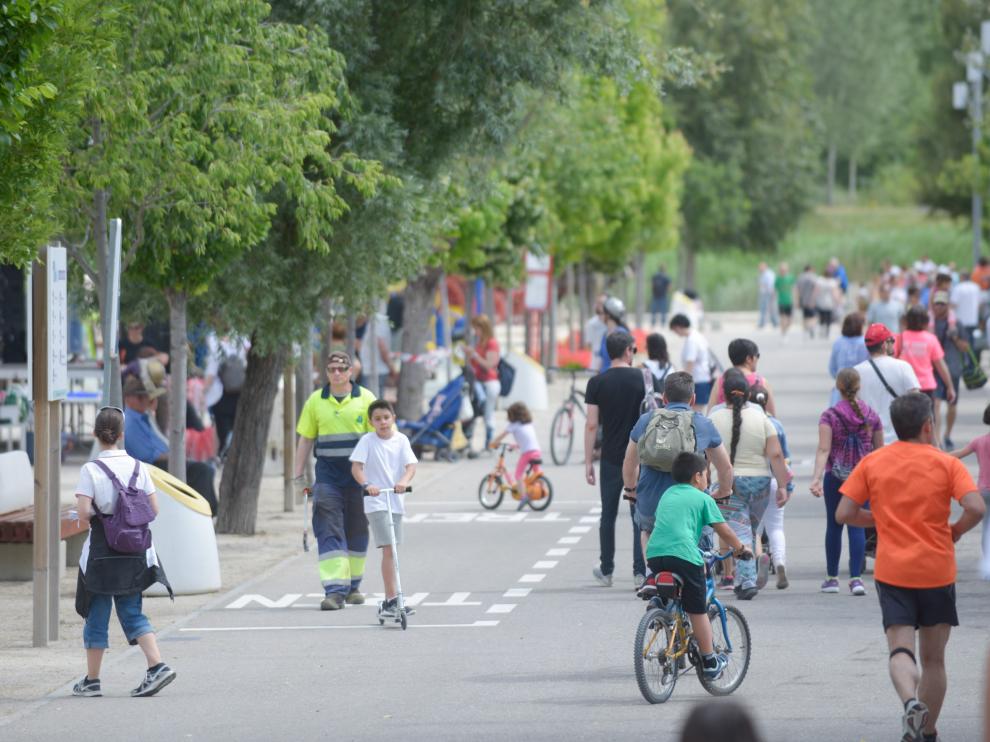 La diversidad no está solo programada en nuestros genes, sino que emerge de cómo nuestros genes responden al medio ambiente.