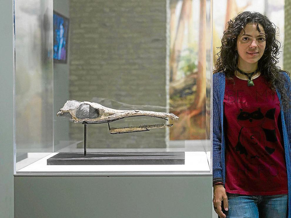 La investigadora Jara Parrilla junto a los restos fosilizados del cocodrilo encontrado junto al AVE.