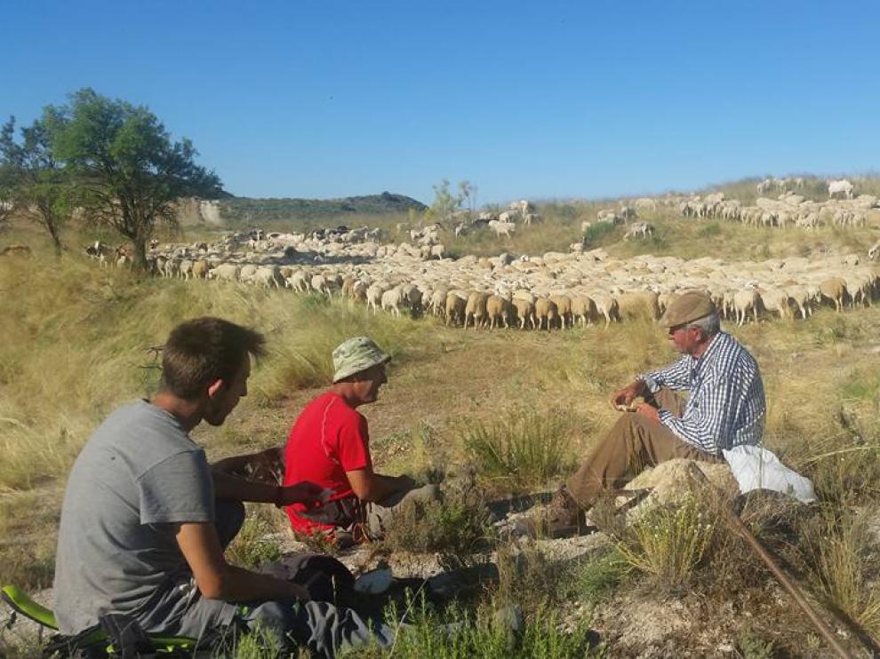 Comienza la trashumancia del proyecto Medelca