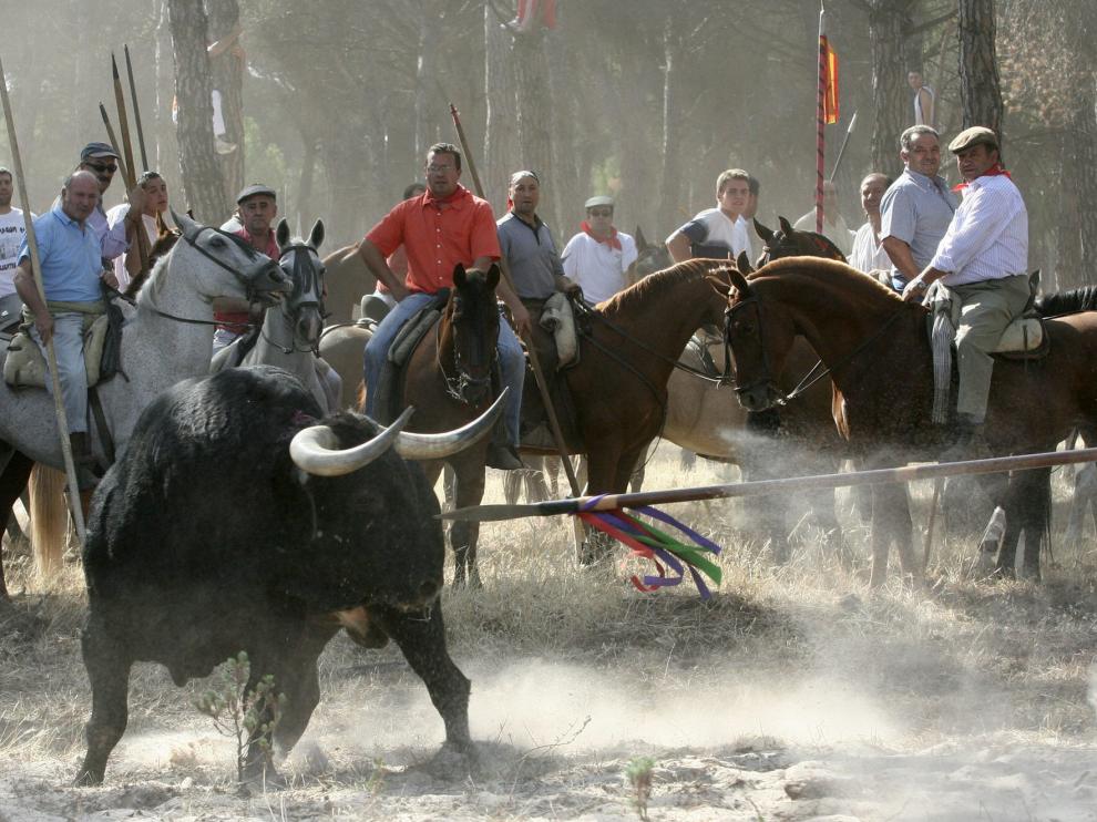 Imagen de archivo de la celebración del Toro de la Vega.