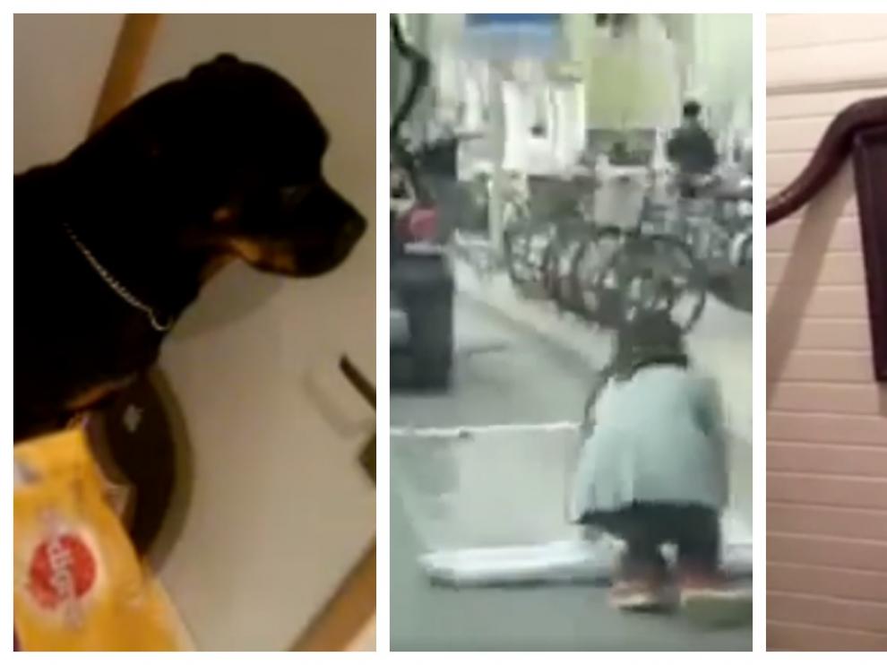 Los vídeos más virales del mes de junio.