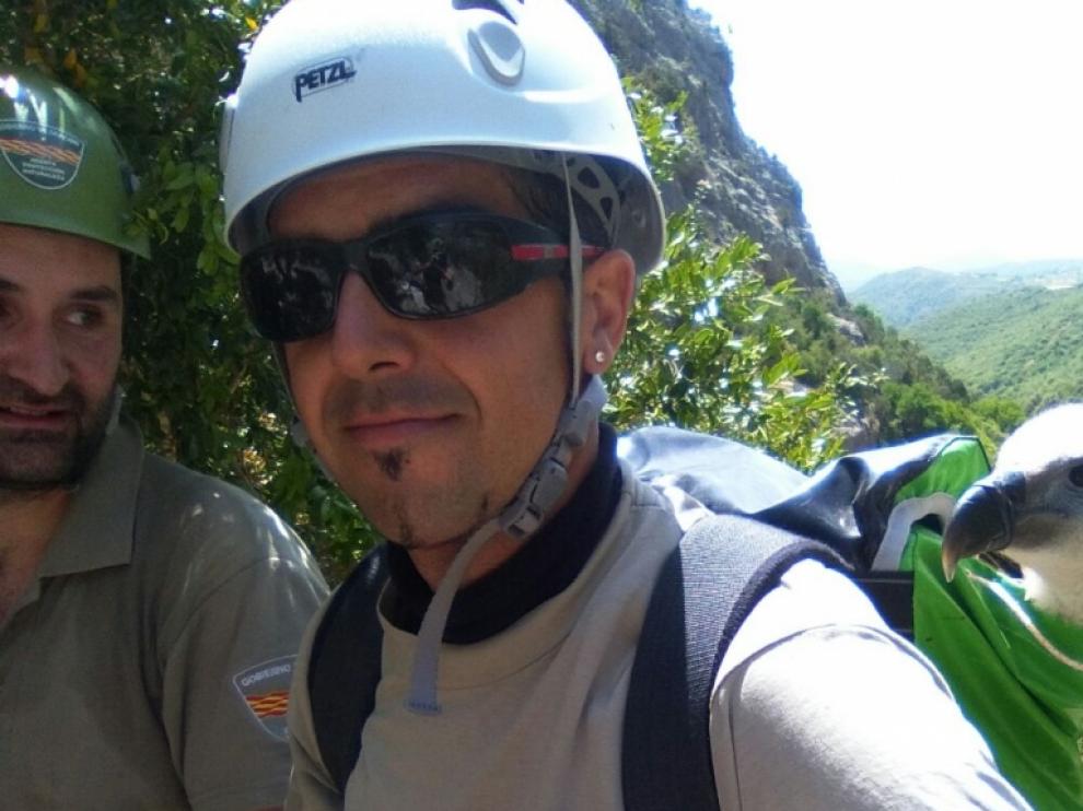 Agentes para la Protección de la Naturaleza rescatan un buitre leonado en el barranco de Formiga.