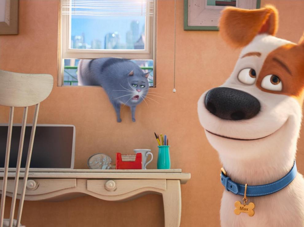 Imagen de la película 'Mascotas', que se estrena este 5 de agosto.