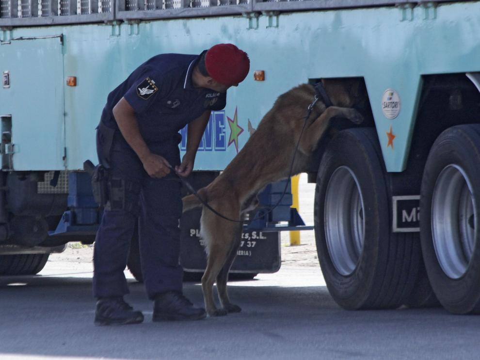 Detectan a cuatro menores en los bajos de un camión.