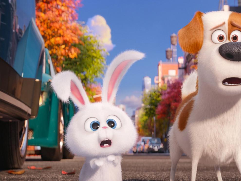 Fotograma de la película 'Mascotas'.