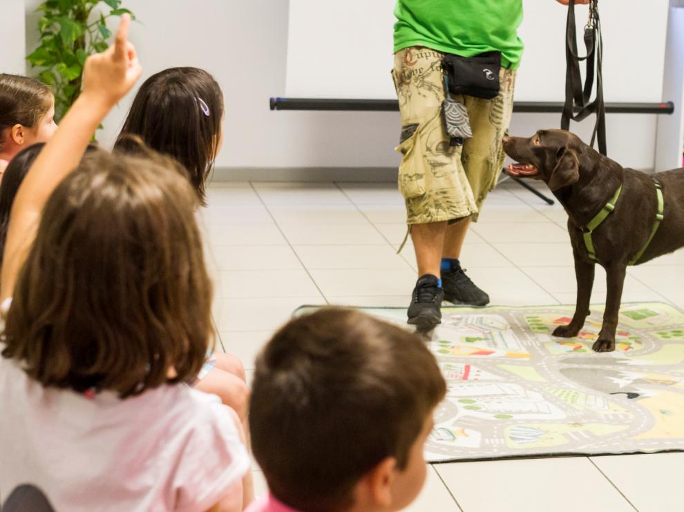 Sesiones asistidas con animales en Espacio Ítaca.
