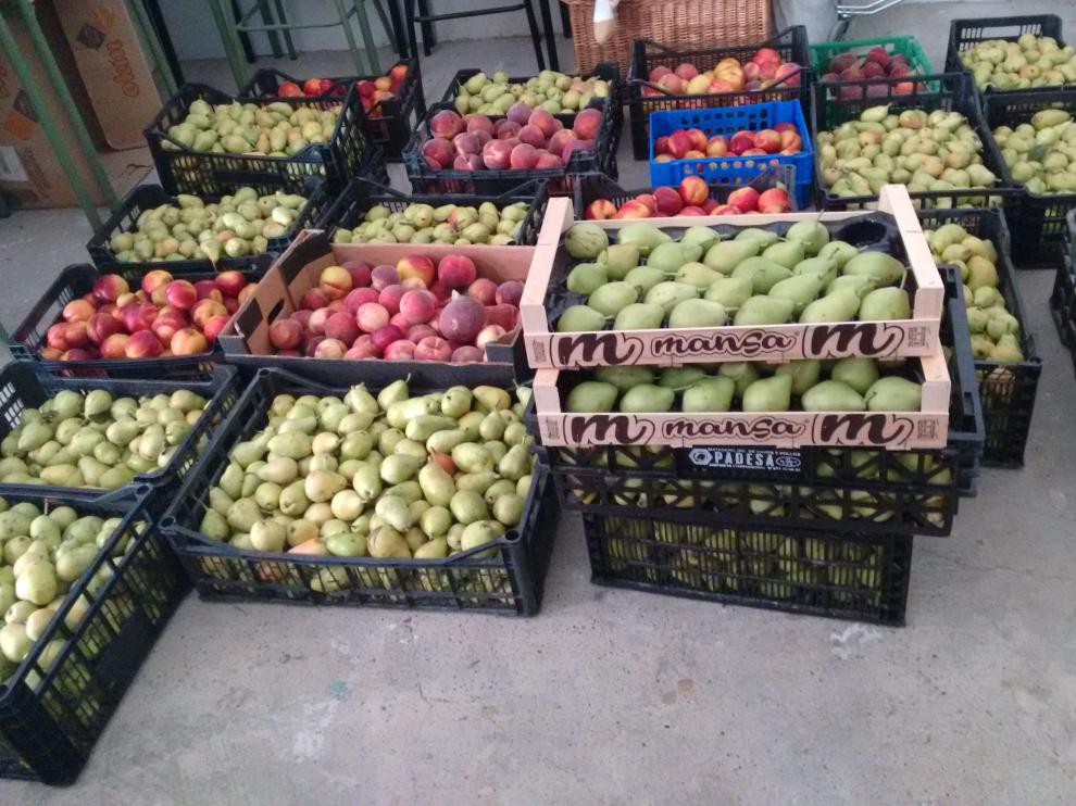 La Red de Solidaridad Popular de Zaragoza reparte 700 kilos de frutas y hortalizas.