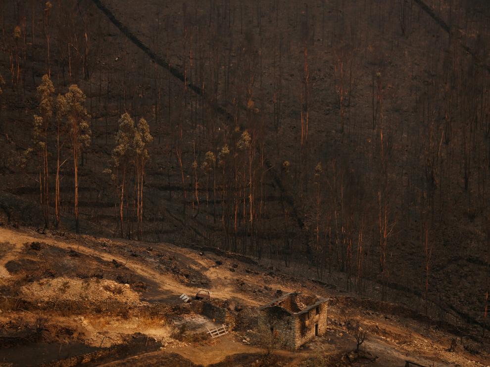 Portugal se vio afectado la semana pasada por una oleada de incendios que castigó especialmente el norte