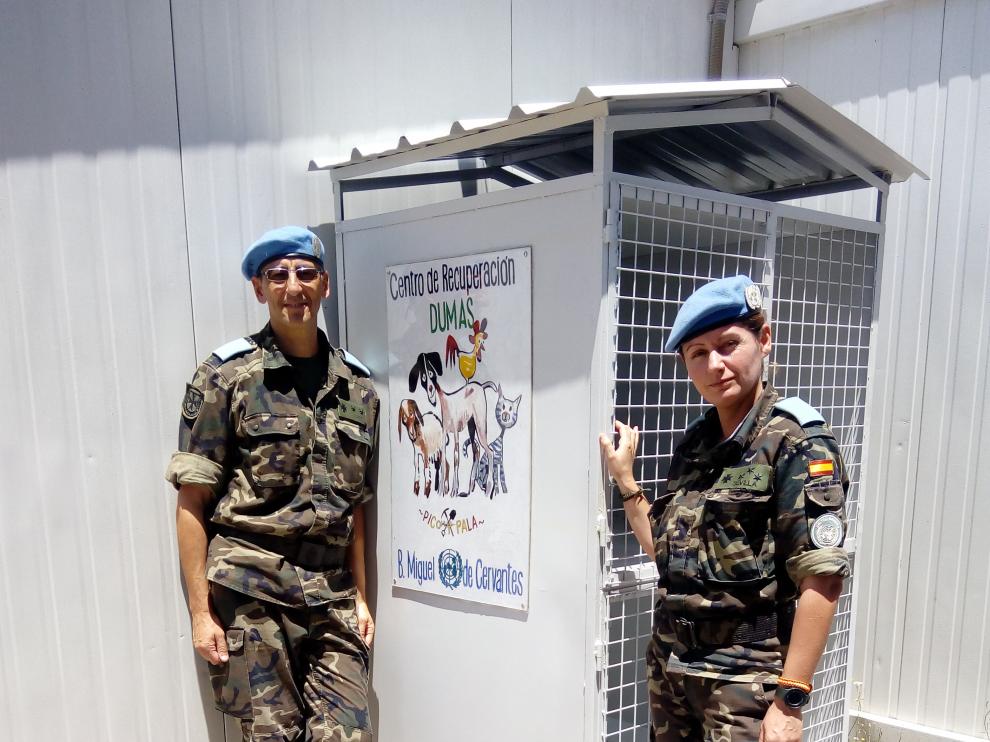 Caniles para la recuperación de animales en la base Cervantes