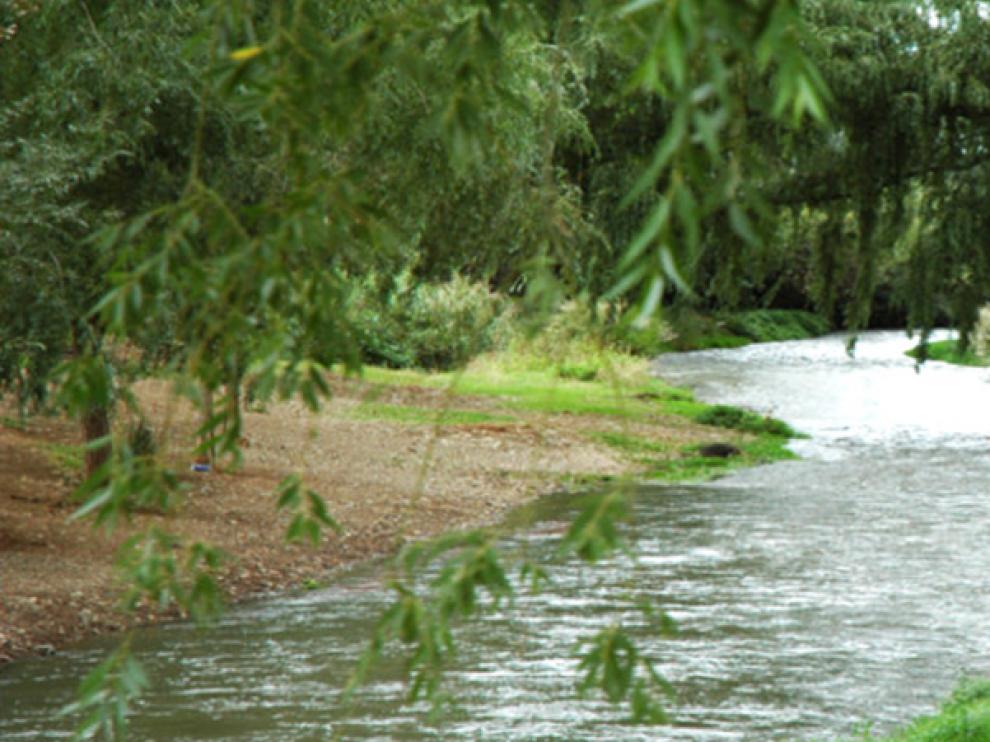 El río Jiloca, a su paso por Burbáguena, donde terminará la ruta.