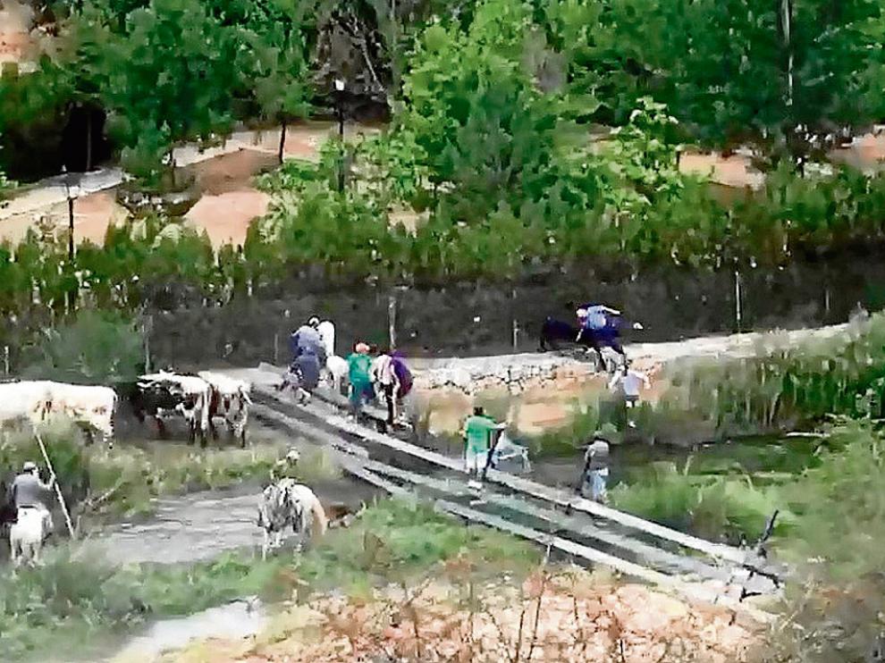 La imagen -capturada de un vídeo- muestra en un círculo el momento en que el toro, tras salirse del recorrido del encierro, embiste al anciano que presenciaba el espectáculo.
