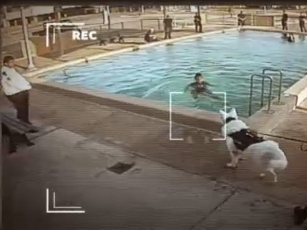 Imagen difundida por la televisión australiana de un menor que no puede salir del agua porque hay un perro amenzante