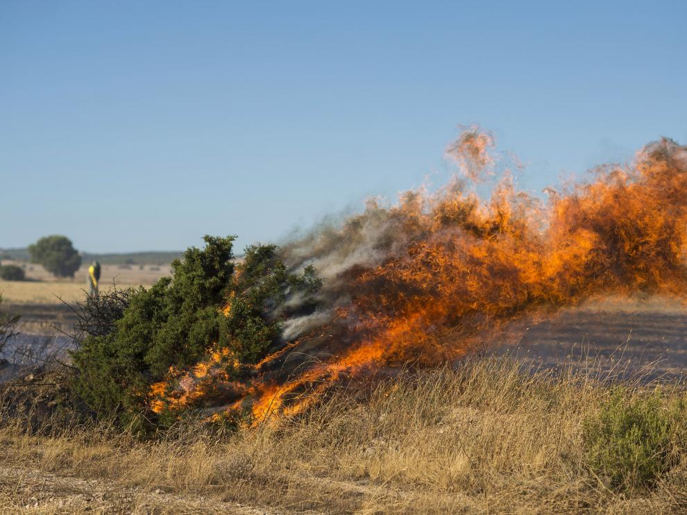 El incendio declarado en San Gregorio se extendió a los montes de Zuera.