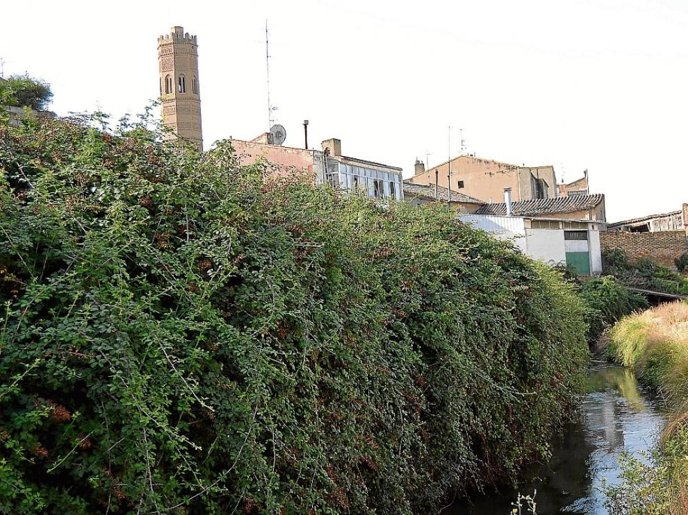 El vial y la acequia de Tauste sobre los que se actuará en septiembre.