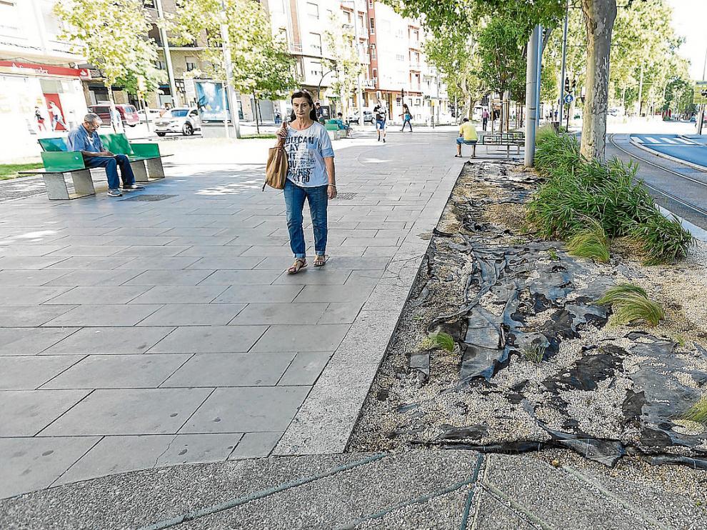 Las mantas negras antihierbas asoman en los parterres, donde la vegetación es escasa.