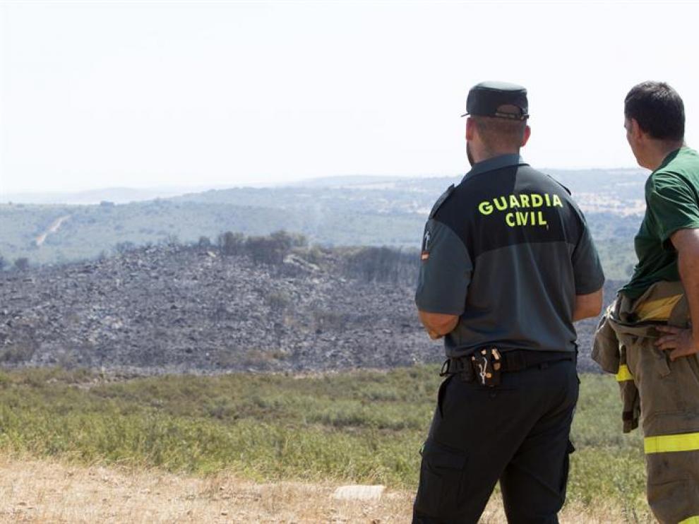 Varios medios aéreos y terrestres trabajan en la extinción de un incendio forestal declarado esta madrugada en el término municipal de Ferreruela de la Tábara, en Zamora,