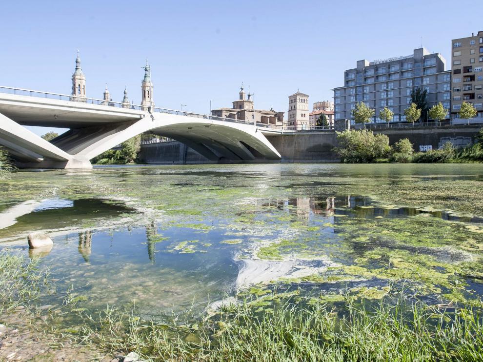 El Ebro a su paso por el Puente de Santiago.