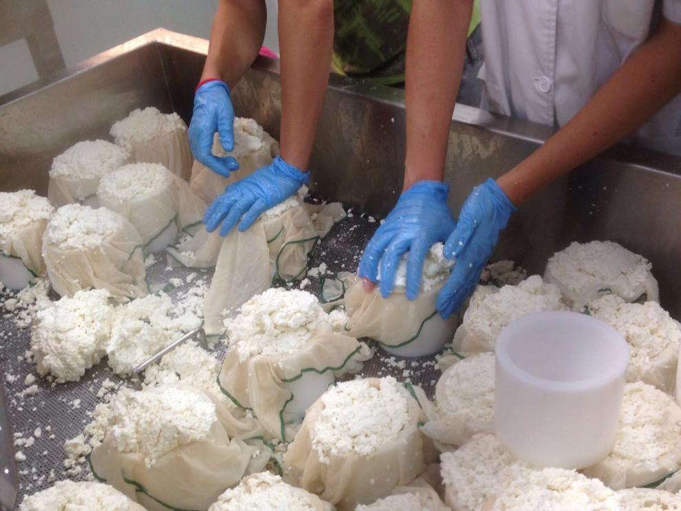 Elaboración del primer queso del vivero de Biescas