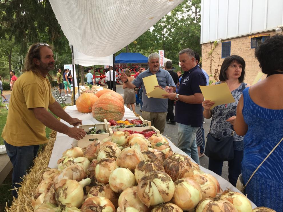 XVI Muestra de Frutas y Hortalizas