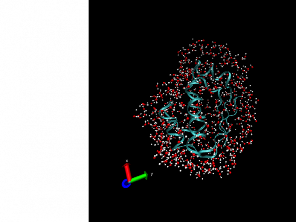 La física del proceso. En la figura grande, la proteína aparece en color azul rodeada de los átomos de oxígeno e hidrógeno (composición del agua). Al lado, una molécula de agua interrelacionándose con otras.