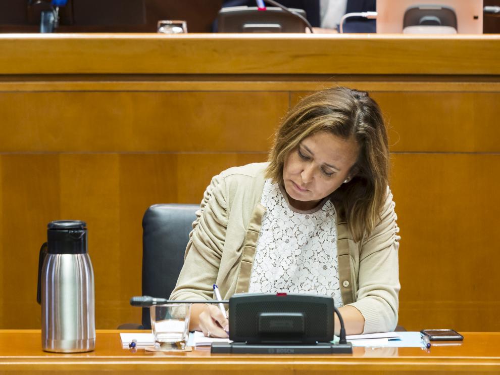 La consejera Mayte Pérez, durante una comparecencia en las Cortes.
