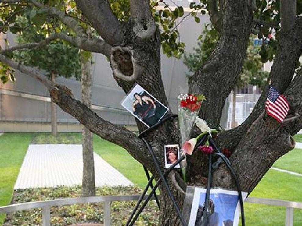 Homenaje a las víctimas en el árbol que sobrevivió al 11-S.