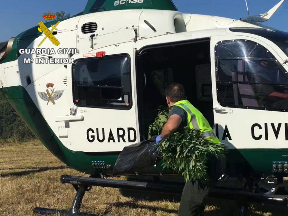 Detenido en Barbastro por gestionar tres plantaciones de marihuana en el monte de Castanesa