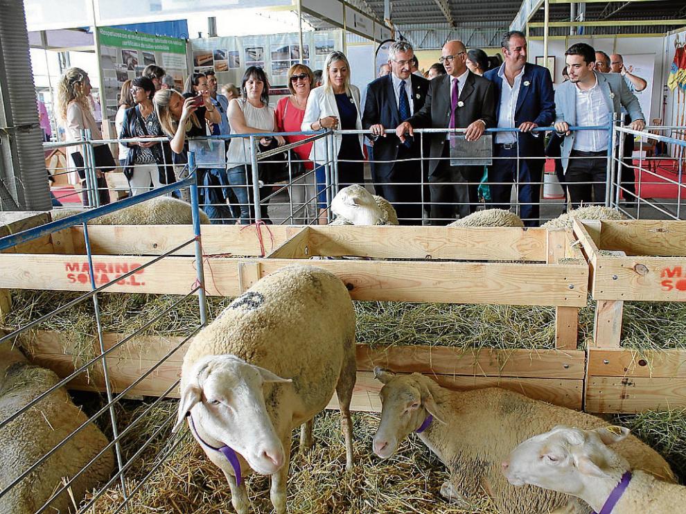 Las autoridades recorrieron la feria tras la inauguración.