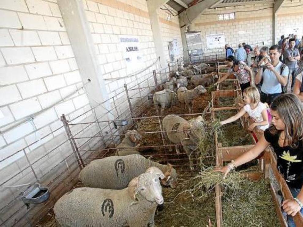 La feria de Cedrillas recibe miles de visitantes cada año. A. G.