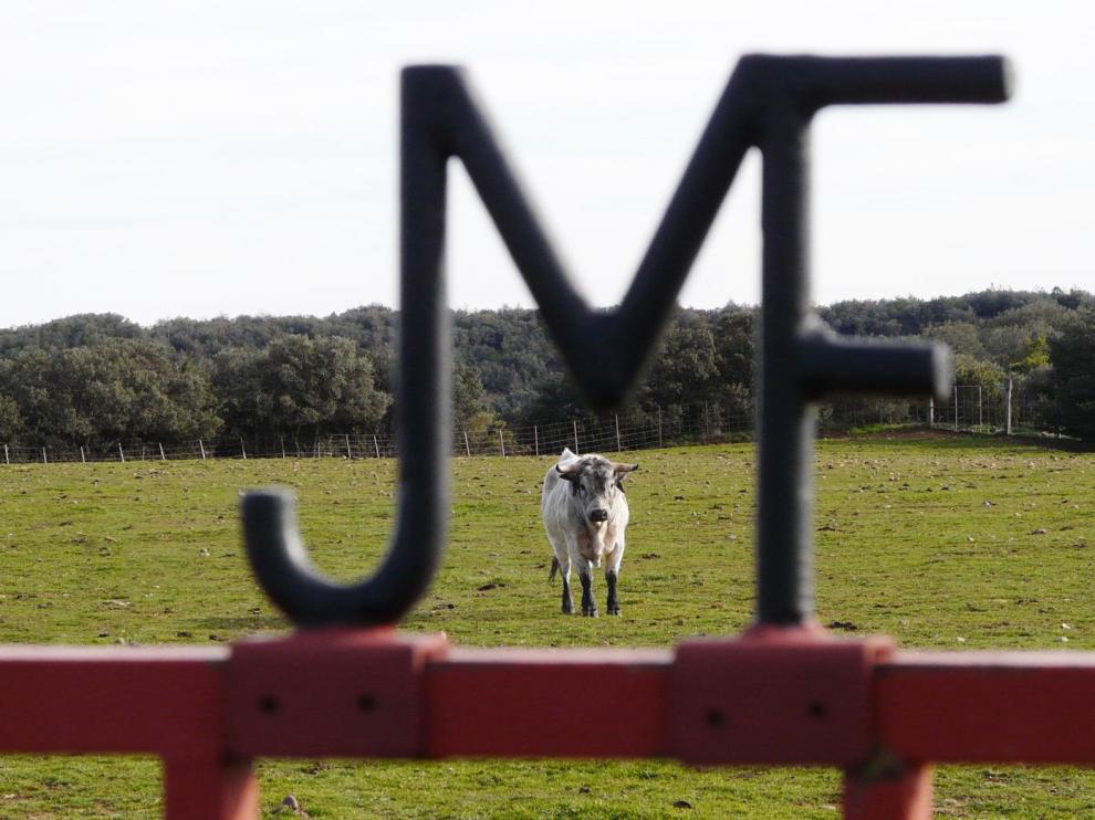 Finca de los Maños, en Luesia.