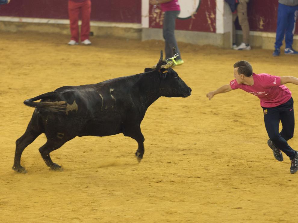Vaquillas en el día del Pilar.