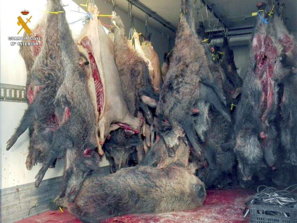Intervenidas 11 toneladas de carne de caza sin inspeccionar y destinada a la venta