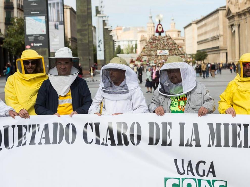 Protesta de apicultores aragoneses en la Plaza del Pilar