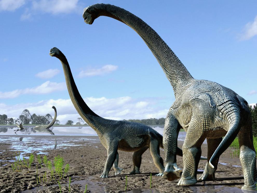 Savannasaurus elliottorum