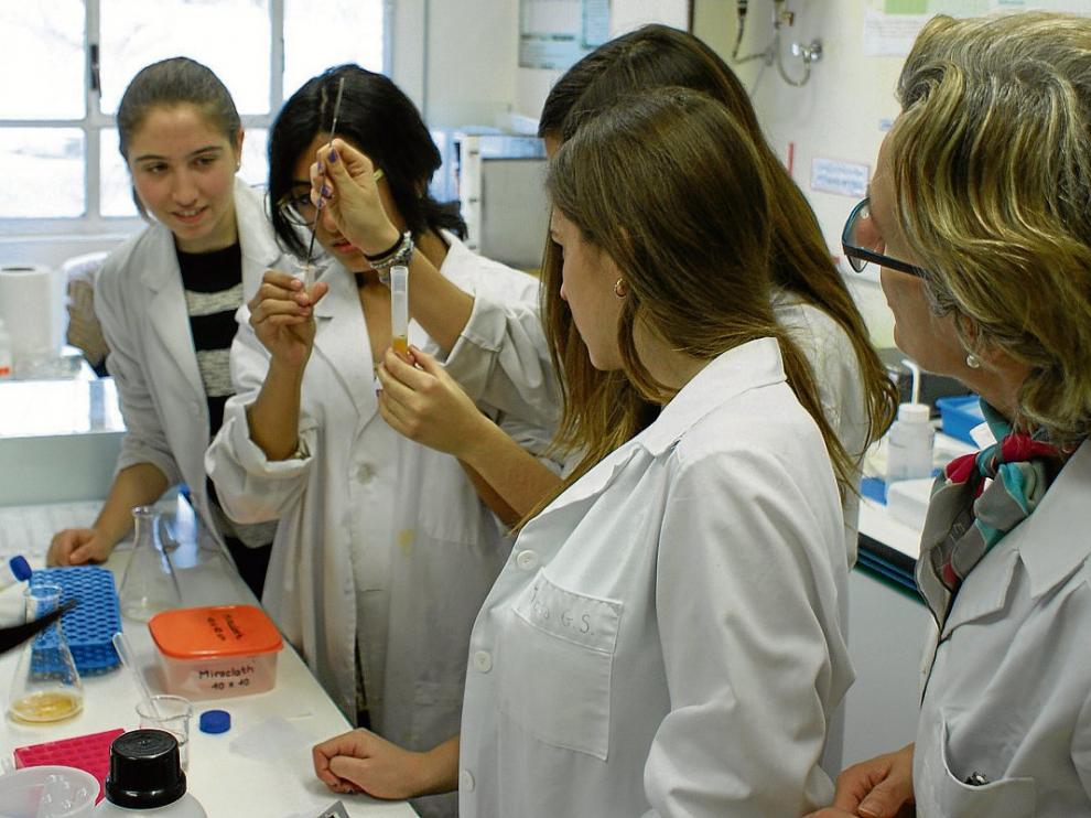 Estudiantes de instituto participan en la actividad 'CSI'.