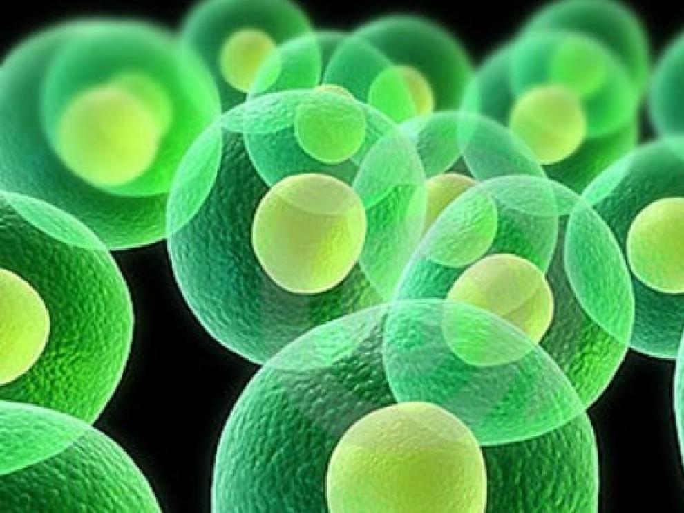 La ciencia de micropartículas revoluciona el mundo actual